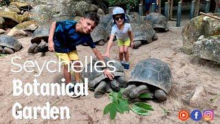 VICTORIA BOTANICAL GARDEN | SEYCHELLES | COMPLETE TOUR