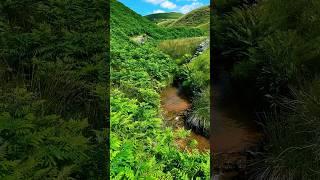 Discover the Hidden Serenity of Peak District | Cinematic Nature by HabitChill