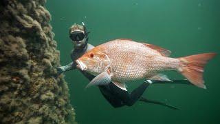 BEST Spearfishing Oil Rigs for HUGE Snapper I've Ever Had! Catch & Cook Gulf of Mexico in the Panga