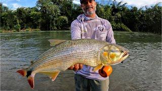 Pescando PICUDAS en el Río La Miel