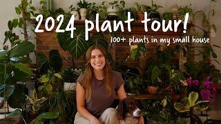 Houseplant tour 2024! Over 100 rare and common plants in my small house