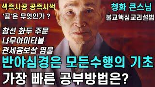 반야심경은 모든 불교수행의 기초입니다 | 참선 화두 주문 나무아미타불 관세음보살 염불 색즉시공 공즉시색 제법공 진공묘유의 도리 |청화스님 법문