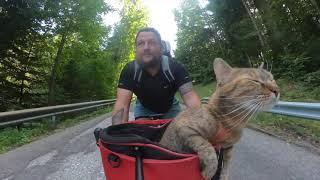 Cats Downhill Cycle ‍️