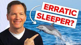 My Favorite Tips For Better Sleep [Dolphin Chronotype]