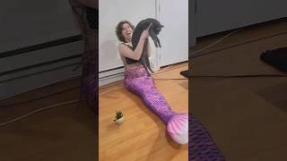 Mermaid And Cat Lion King Circle of Life Reenactment #shorts