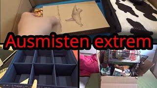 Ausmisten EXTREM | organisieren und aufräumen | Minimalismus Challenge | Evelyns Welt