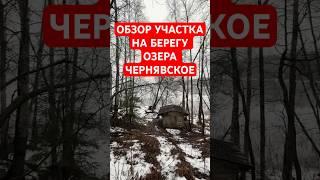 Обзор участка на берегу озера Чернявское в Ленинградской области #недвижимость #участок #ло #озеро