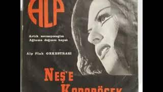 Neşe Karaböcek - Dertler Benim Olsun Orjinal Kayıt (1974)