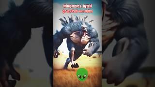 Chimpanzee &  hybrid  एंडिंग देखो# shorts #funny #comedy