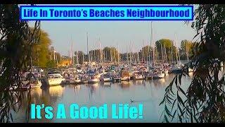  Life  In The Beaches Neighbourhood  Toronto