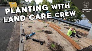 Planting with the Land Care crew