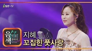 지혜 - 꼬집힌 풋사랑 [아이넷TV 음색]