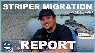 Striper Migration Report | June 17th 2025