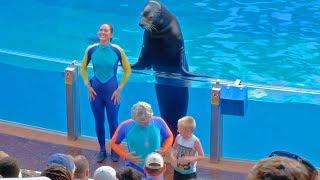 HIGHLIGHTS: "Sea Lions Tonite" show at SeaWorld Orlando