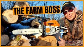 Stihl MS 271 Farm Boss Chainsaw | Why I Chose This Chainsaw