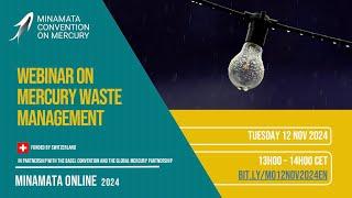 Minamata Online 4: Webinar on mercury-added products - English Session