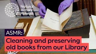 Cleaning and preserving old books from our Library | ASMR