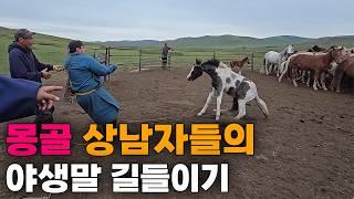 몽골 유목민들의 맨손으로 말 길들이기, 몽골 상남자 전투민족의 일상[4]