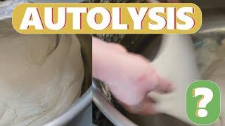 HOW AUTOLYSIS IMPROVES THE DOUGH.What is autolysis. How to open a bakery.