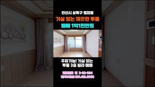 381 안산투룸빌라매매 거실 있는 깨끗한 투룸 주차가능 로얄 3층 #short #shorts #shortvideo #shortsvideo