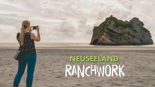 Ranchwork And Travel in Neuseeland ️ | AIFS Educational Travel