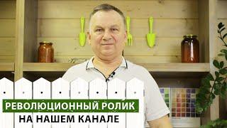 Эксперт подскажет. Обработка сада от вредителей: химические препараты или народные средства?