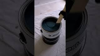 Black-blue paint for a client?