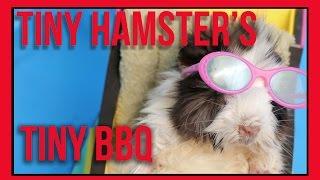 Ep. 8 - Tiny Hamster's Tiny BBQ at 4th July - Tiny BBQ Feast