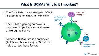 Betting on BCMA Therapy in Multiple Myeloma