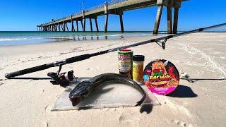 Saltwater Pier Catch n' Cook - Fire Sauce Shark-Fish!