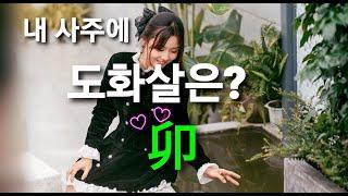 내 사주에 "도화살" 묘목이 있으면?