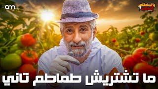 كن محترفا في زراعة الطماطم ( من غرس البذرة للحصاد )