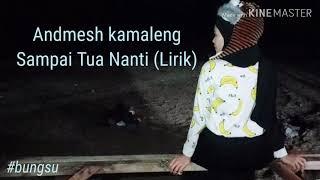 Andmesh Kamaleng - Sampai Tua Nanti (Lirik)