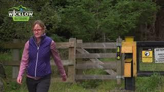 ST KEVINS WAY VIDEO GUIDE