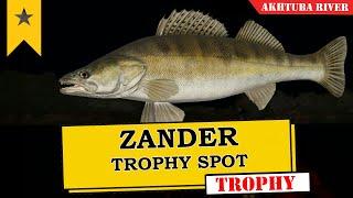 RF4 - Russian Fishing 4 - Zander Trophy Spot  - Akhtuba River