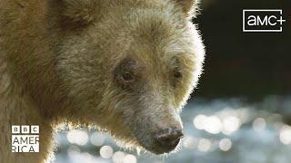 A Series That is 'Simply Spectacular' | Planet Earth III | Saturdays on BBCA