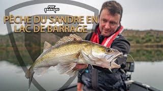 PÊCHE DU SANDRE EN LAC DE BARRAGE // FOX RAGE FRANCE