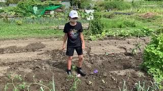 Farm video