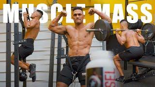 Full Body Strength Workout to Increase Muscle Mass | Cluster Training