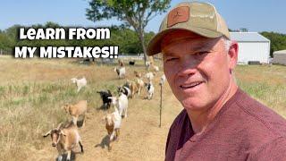 Don't Make These Mistakes. Kiko Goats