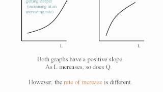 Econ - Production Function / Total Product