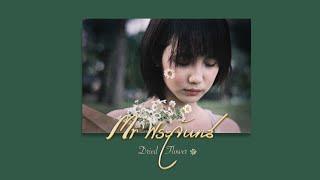 Dried Flower - Mr'พระจันทร์ 