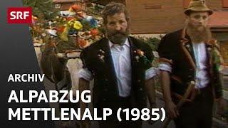 Alpabzug Mettlenalp (1985) | Schweizer Alpwirtschaft und Traditionen | SRF Archiv