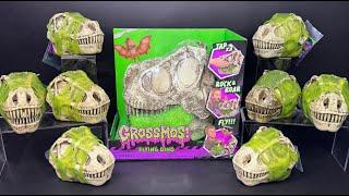 GrossMos Dinosaurs ASMR Oddly Satisfying Toy Unboxing by CoolToys