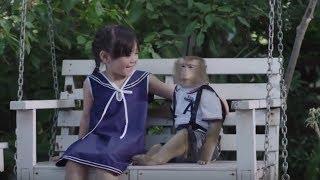 Monkey adopted by one family - Haier Ad