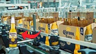 How is beer made in India | Beer manufacturing process | Wheat to Beer Processing in Beer Factory