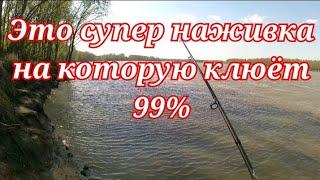 СУПЕР НАЖИВКА для рыбалки на леща плотву сазана стерлядь осетра карася. Рыбалка 2024 для начинающих