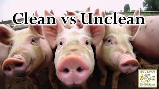 CLEAN VS UNCLEAN