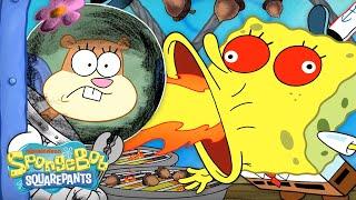 The Krusty Krab is NUTS for Sandy's New Snack!  | "Hot Crossed Nuts" in 5 Minutes! | SpongeBob