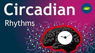 Circadian Rhythms and Human Health| Basic Science Series